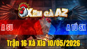 Trận 16 Xà Xía 10/05/2026 - Xanh Leo Mu Lưng Đẳng Cấp Đỏ Vừa Chạy Vừa Kêu