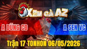 Trận 17 TONHON 06/05/2026 - Bướm Đỏ Đâm Xanh Xì Khói Hạ Idol