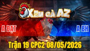 Trận 19 CPC2 08/05/2026 - Bướm Đá Bít Cửa Chuối Nhập Thua Tuyệt Đối