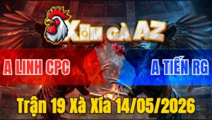 Trận 19 Xà Xía 14/05/2026 - Bướm Trả Chân XL Đẳng Cấp Úa Quay Xe Bỏ Chạy
