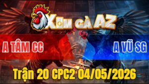 Trận 20 CPC2 04/05/2026 - Anh Kiểm Nài Gà Quá Hay Phản Ăn 2 Thành Công