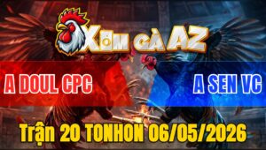 Trận 20 TONHON 06/05/2026 - Xanh Anh Sen Chấp Nửa Ký Vẫn Thắng Đẳng Cấp
