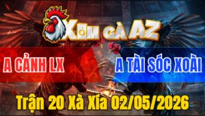 Trận 20 Xà Xía 02/05/2026 - Xám Đá Đòn Như Xe Đụng Bướm Té Hết Sửa
