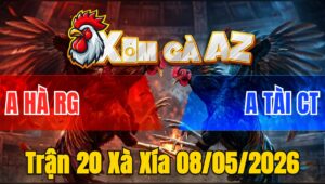 Trận 20 Xà Xía 08/05/2026 - Điều Đá Toàn Mu Lưng Xám Chuối Ói Hết Phản