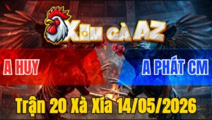 Trận 20 Xà Xía 14/05/2026 - Xanh Sát Thủ Đâm Mu Lưng Đỏ Lật Xe Nằm Biệt