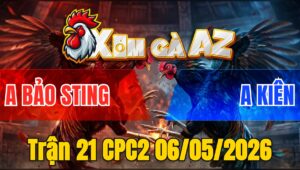 Trận 21 CPC2 06/05/2026 - Điều Anh Bảo Gặp Cọp Và Cái Kết Hư Hình