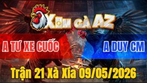 Trận 21 Xà Xía 09/05/2026 - Điều Xiết Khét Ngán Cựa Kêu Miệng Bỏ Chạy