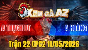Trận 22 CPC2 11/05/2026 - Xanh Đá Chân Phản Phút 90 Đâm Đỏ Xỉu Trên Tay
