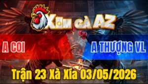 Trận 23 Xà Xía 03/05/2026 - Bướm Nạp Điều No Cựa Buông Bồ Chạy