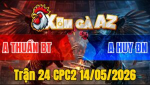 Trận 24 CPC2 14/05/2026 - Gà Xanh Đá Đâm Cựa Quá Tịch Đỏ Hết Phản
