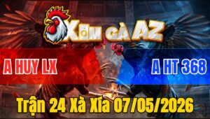 Trận 24 Xà Xía 07/05/2026 - Điều Đá Cây Lưng Xám Xỉu Tuyệt Đối