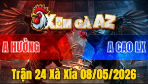 Trận 24 Xà Xía 08/05/2026 - Gà Xanh Bươi Trây Tốc Độ Đỏ Về Sau Cứng Mình Chịu Thua