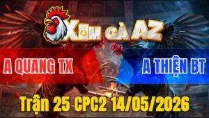 Trận 25 CPC2 14/05/2026 - Gà Anh Thiện Đá Toàn Đâm Cựa Mu Lưng