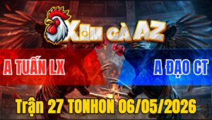Trận 27 TONHON 06/05/2026 - Bướm Đá Đòn Hiểm Que Lật Xe Chưa Tới 1 Tay Nước
