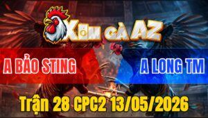 Trận 28 CPC2 13/05/2026 - Khét Cọp Long TM Hạ Kount Out Bảo Sting