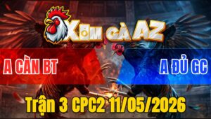 Trận 3 CPC2 11/05/2026 - Úa Đá Bươi Chà Buông Ra Điều Sụm Tỳ Hết Cứu