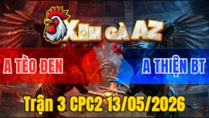 Trận 3 CPC2 13/05/2026 - Bướm Cọp Chụp Đá Không Buông Điều Chết Ngày Tay Nước Đầu