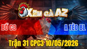 Trận 31 CPC3 10/05/2026 - Xanh Idol Tèo Dở Giò Là Đâm Hạ Đỏ Tuyệt Đối