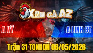 Trận 31 TONHON 06/05/2026 - Xanh Đá 3 Chân Bưng Đỏ Ra Sân