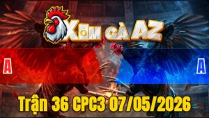 Trận 36 CPC3 07/05/2026 - Điều Đá Trúng Điểm Xám Giãy Chết