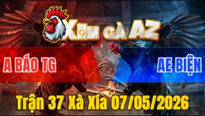 Trận 37 Xà Xía 07/05/2026 - Bướm Canh Chặn Đá Cặp Điều Giãy Chết
