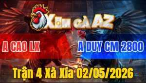 Trận 4 Xà Xía 02/05/2026 - Que Đâm Dã Man Bông Té Bưng Ra Chỉ Sau Vài Chân