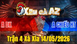 Trận 4 Xà Xía 14/05/2026 - Xanh Đâm Mu Lưng Đỏ Hư Hình Hết Cứu