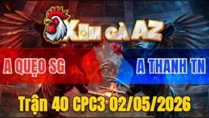 Trận 40 CPC3 02/05/2026 - Bướm Đá Cho Cây Nghiệt Điều Ói Té