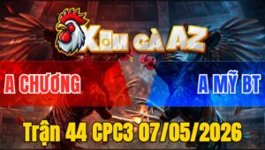 Trận 44 CPC3 07/05/2026 - Đỏ Đá Đâm Mu Lưng Xanh Ngán Cựa Bỏ Đi