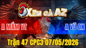 Trận 47 CPC3 07/05/2026 - Đỏ Đá Một Hồi Xanh Thấm Cựa Hết Phản