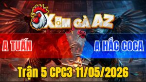 Trận 5 CPC3 11/05/2026 - Đỏ Đâm Như Súng Bắn Hạ Xanh Idol Cam Gọn Gàng