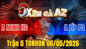 Trận 5 TONHON 06/05/2026 - Bướm Đâm Dã Man 3 Chân Bưng Cú Ra Sân