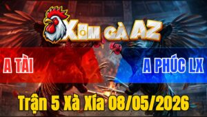 Trận 5 Xà Xía 08/05/2026 - Bướm Đâm Quá Đâm Úa Hư Hình Bỏ Miệng