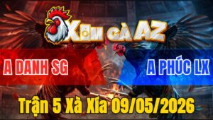 Trận 5 Xà Xía 09/05/2026 - Bướm Đâm Như Giang Hồ Điều Ói Chạy Nhanh Chóng