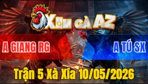 Trận 5 Xà Xía 10/05/2026 - Bướm Phản Đòn Cực Hay Úa Ngán Cựa Buông Chạy