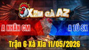 Trận 6 Xà Xía 11/05/2026 - Xanh Trả Chân Hiểm Đỏ Té Chết Dưới Chân