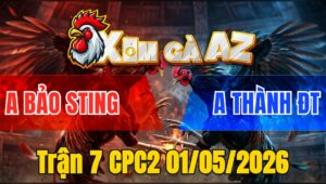 Trận 7 CPC2 01/05/2026 - Xanh Đá 3 Chân Đâm Đỏ Gãy Dò Rinh Ra Nhanh Lẹ