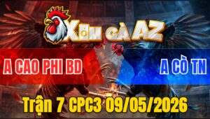 Trận 7 CPC3 09/05/2026 - Xám Đâm Cựa Khủng Vô Trong Bướm Giãy Đành Đạch