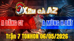 Trận 7 TONHON 06/05/2026 - Điều Dày Gà Đâm Quá Đâm Hạ Xanh Tuyệt Đối