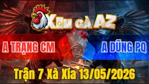 Trận 7 Xà Xía 13/05/2026 - Vô Kiếng Bông Gồng Đá Cây Bướm Quay Đầu Bỏ Chạy