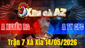 Trận 7 Xà Xía 14/05/2026 - Bướm Đá Đòn Hiểm Điều Té Biệt Dưới Chân