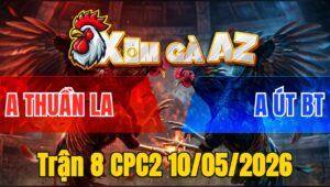 Trận 8 CPC2 10/05/2026 - Điều Đá Khét Muốn Hư May Có Chân Phản Lấy Lại