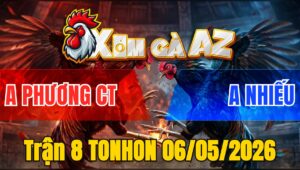 Trận 8 TONHON 06/05/2026 - Xanh Đá Mấy Chân Đỏ Chết Đứng Tại Chỗ
