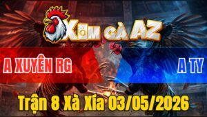 Trận 8 Xà Xía 03/05/2026 - Đỏ Đâm Như Máy Khâu Xanh Hư Hình Bưng Ra