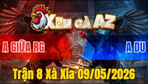 Trận 8 Xà Xía 09/05/2026 - Đỏ Trả Đòn Hiểm Xanh Té Nằm Biệt Bưng Ra