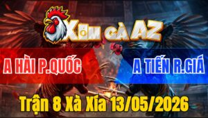 Trận 8 Xà Xía 13/05/2026 - Xanh Đá Đòn Như Xe Đụng Đỏ Hư Giò Sau Chân Nạp Đầu Tiên