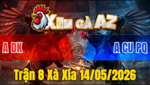 Trận 8 Xà Xía 14/05/2026 - Bướm Nạp Điều Hư Giò Hết Sửa