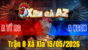 Trận 8 Xà Xía 15/05/2026 - Bướm Dày Gà Đâm Là Dính Hạ Đỏ Tuyệt Đối