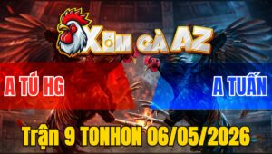 Trận 9 TONHON 06/05/2026 - Đỏ Đá Đâm Đầu Cần Hạ Xanh Tuyệt Đối