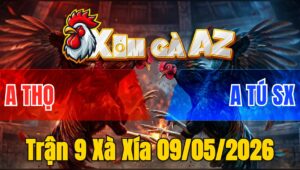 Trận 9 Xà Xía 09/05/2026 - 2 Con Bươi Xiết Buông Ra Bướm Té Nằm Biệt